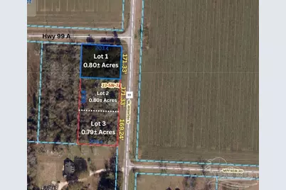 Lot 3 Hwy 99, Walnut Hill, FL 32568 - Photo 2