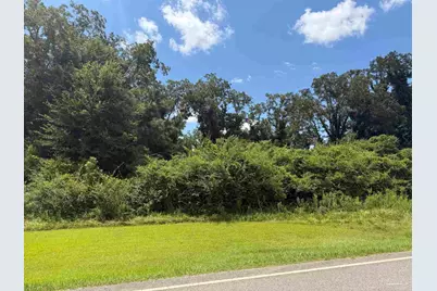 Lot 3 Hwy 99, Walnut Hill, FL 32568 - Photo 14