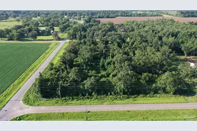 Lot 3 Hwy 99, Walnut Hill, FL 32568 - Photo 8