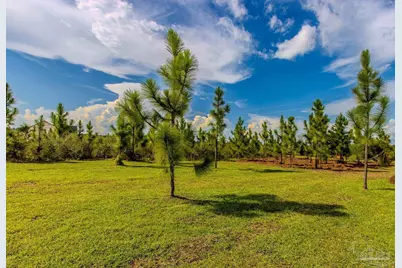 8687 Naturewalk Dr, Jay, FL 32565 - Photo 42