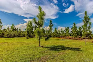 8687 Naturewalk Dr, Jay, FL 32565 - Photo 42