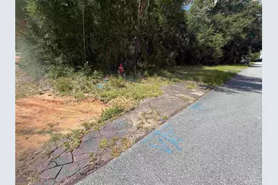 0 Boots Ln, Milton, FL 32570 - Photo 4