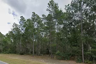108 W Hillsborough Ave, Florahome, FL 32140 - Photo 1