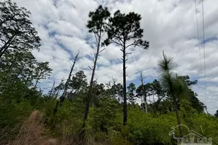 6589-1 Aegean Dr, Milton, FL 32583 - Photo 1