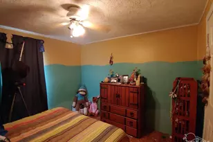 690 Jacks Branch Rd, Cantonment, FL 32533 - Photo 6