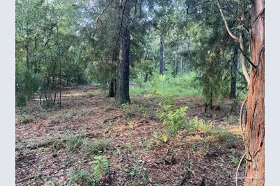 6810 Sunshine Hill Rd, Molino, FL 32577 - Photo 6