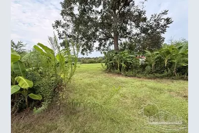 6018 Hwy 99, Molino, FL 32577 - Photo 8
