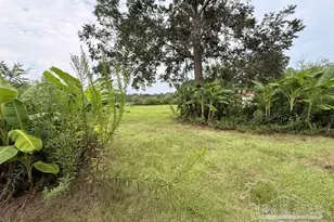 6018 Hwy 99, Molino, FL 32577 - Photo 8