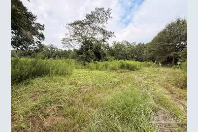 6018 Hwy 99, Molino, FL 32577 - Photo 14