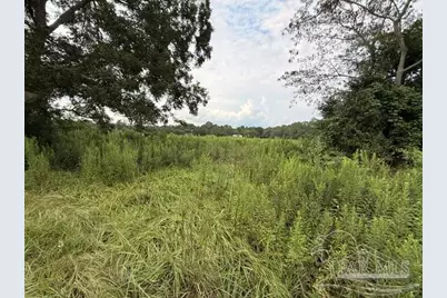 6018 Hwy 99, Molino, FL 32577 - Photo 16