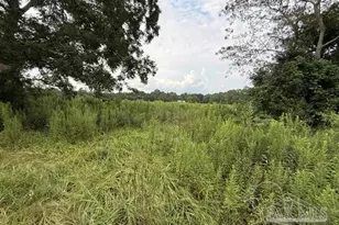 6018 Hwy 99, Molino, FL 32577 - Photo 16