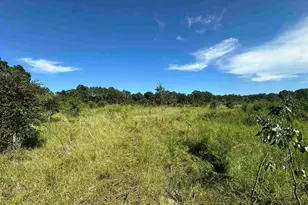 Xxx 9+/- Ac Munson Hwy, Milton, FL 32570 - Photo 1