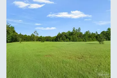 Tbd Gin Rd, Jay, FL 32565 - Photo 4