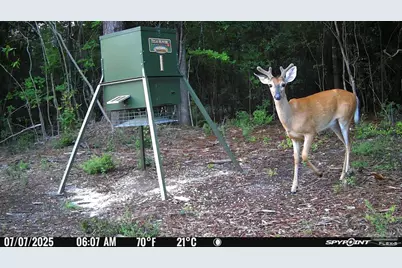 23 Acres Munson Hwy, Milton, FL 32570 - Photo 12