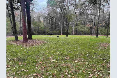 23 Acres Munson Hwy, Milton, FL 32570 - Photo 28