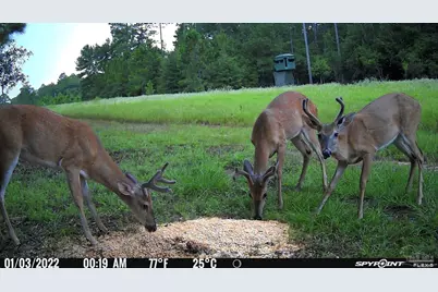 23 Acres Munson Hwy, Milton, FL 32570 - Photo 10