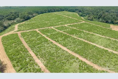 Lot 6 Whistler Ln, Jay, FL 32565 - Photo 2