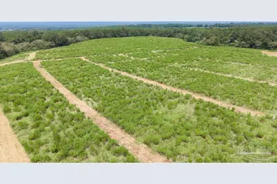 Lot 6 Whistler Ln, Jay, FL 32565 - Photo 4