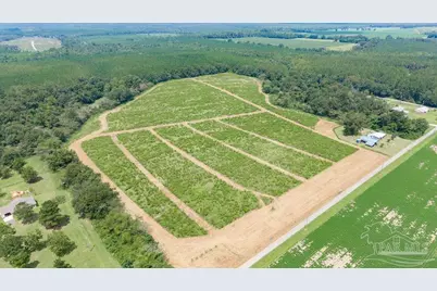 Lot 3 Whistler Ln, Jay, FL 32565 - Photo 2