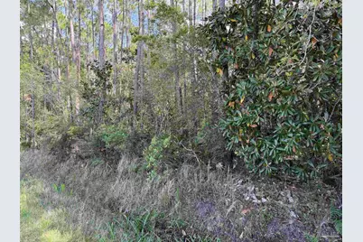 Riola Pl, Pensacola, FL 32506 - Photo 12