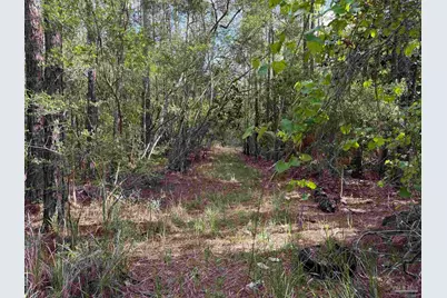 Riola Pl, Pensacola, FL 32506 - Photo 4