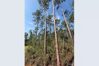 000 N 23rd Ave, Milton, FL 32583 - Photo 6