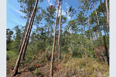 000 N 23rd Ave, Milton, FL 32583 - Photo 4