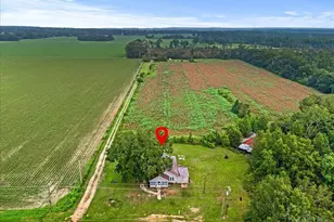6700 Camp Henderson Rd, Jay, FL 32565 - Photo 4