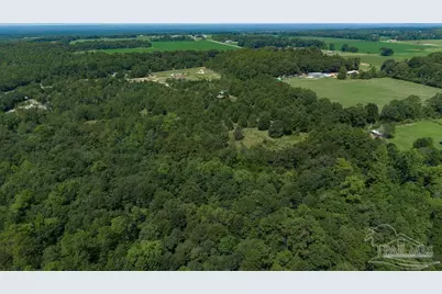 2570 Wade Rd, Jay, FL 32565 - Photo 8