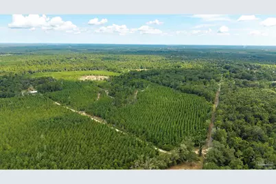 4920 Richardson Rd, Molino, FL 32577 - Photo 2