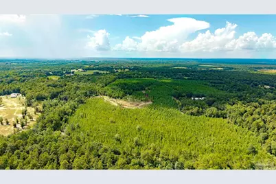 4920 Richardson Rd, Molino, FL 32577 - Photo 6