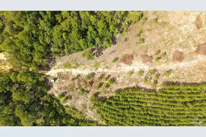 4920 Richardson Rd, Molino, FL 32577 - Photo 12