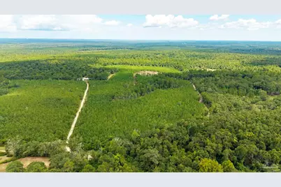 4920 Richardson Rd, Molino, FL 32577 - Photo 1