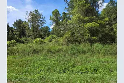 7470 Bratt Rd, Century, FL 32535 - Photo 2