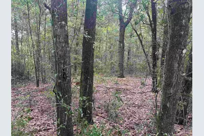 0001 Blk McInnis St, Milton, FL 32583 - Photo 4