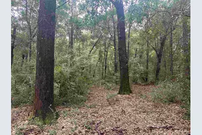 0002 Blk McInnis St, Milton, FL 32583 - Photo 4