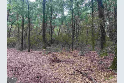 0003 Blk McInnis St, Milton, FL 32583 - Photo 8