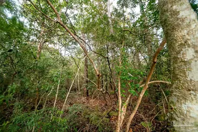 5073 Oneida Trl, Milton, FL 32583 - Photo 14
