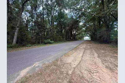 Lot 1 Watermill Rd, Jay, FL 32565 - Photo 4