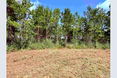 7282 Buffalo Ridge Rd, Pace, FL 32571 - Photo 4