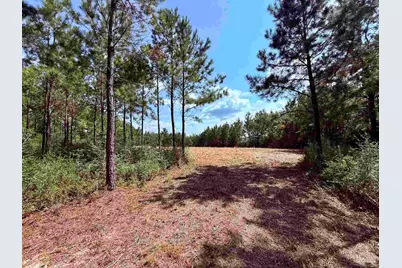 7282 Buffalo Ridge Rd, Pace, FL 32571 - Photo 2