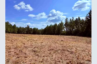 7282 Buffalo Ridge Rd, Pace, FL 32571 - Photo 6