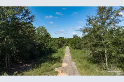 15 Acres Native Creek Rd, Pace, FL 32571 - Photo 6