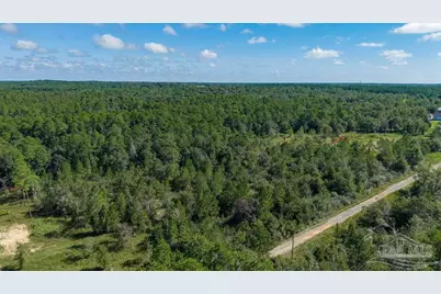 15 Acres Native Creek Rd, Pace, FL 32571 - Photo 10