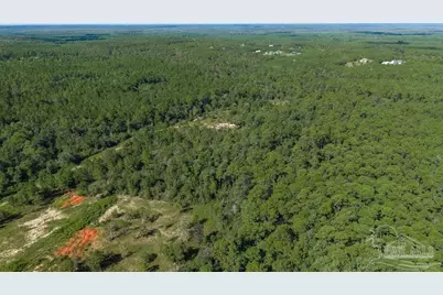 15 Acres Native Creek Rd, Pace, FL 32571 - Photo 8