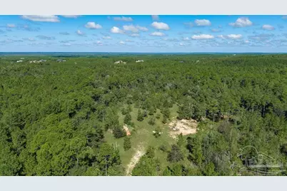 18.69 Acres Native Creek Rd, Pace, FL 32571 - Photo 14
