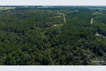18.69 Acres Native Creek Rd, Pace, FL 32571 - Photo 10