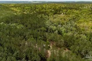 4660 Morristown Rd, Jay, FL 32565 - Photo 10