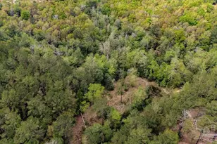 4660 Morristown Rd, Jay, FL 32565 - Photo 44