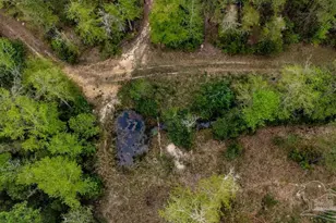 4660 Morristown Rd, Jay, FL 32565 - Photo 30